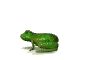 frog_hop_md_wht.gif